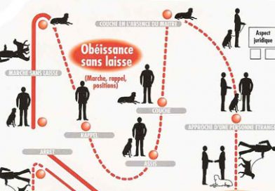 Tout sur le CAESC