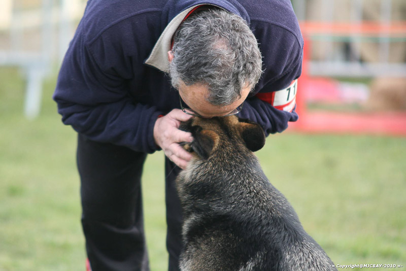 agility_narcastet_14_03_2010_00381.jpg