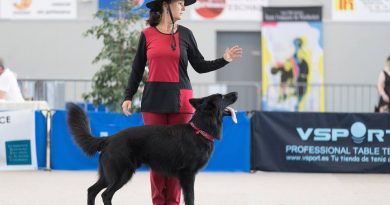 GPF Dog Dancing les 4 et 5 août 2018 en Alsace GPF Dog Dancing les 4 et 5 août 2018 en Alsace